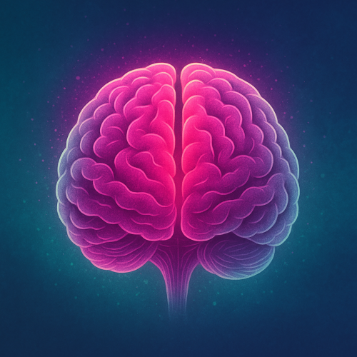 Menopause Brain: How Midlife Changes Can Shape Brain Health Later
