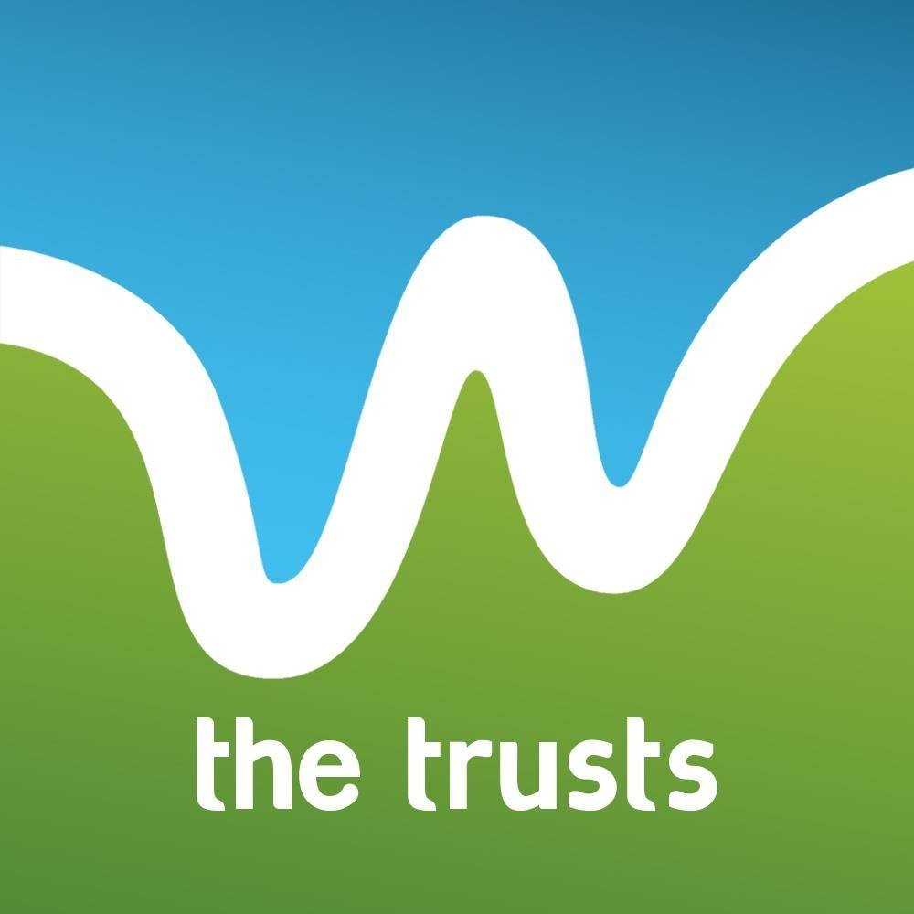 The Trusts